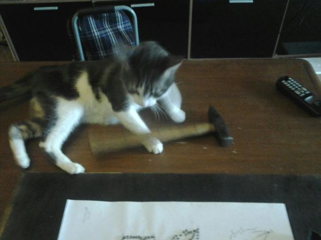 mi restituisci il martello?