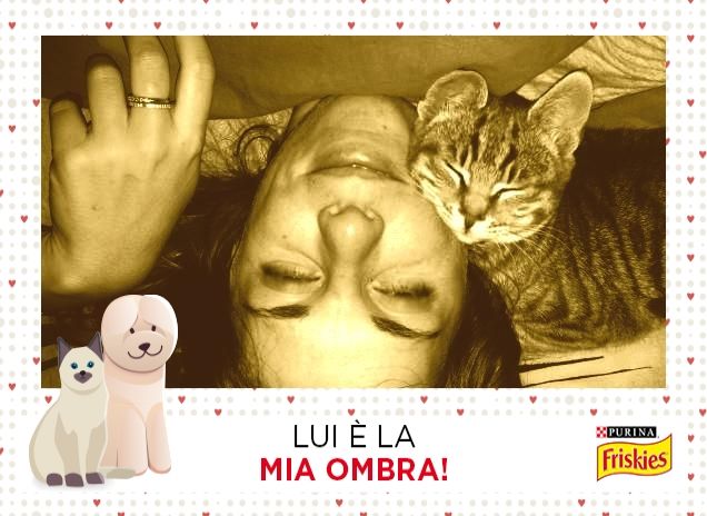 Un dolce risveglio...