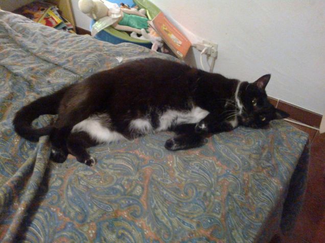 la dolce e carina Minu