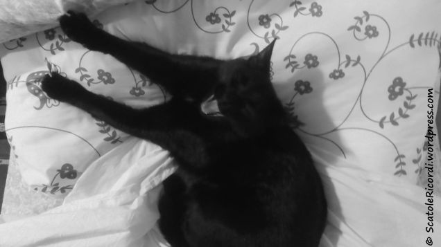 Ho dormito per ore eppure....yawn....ho sonno!