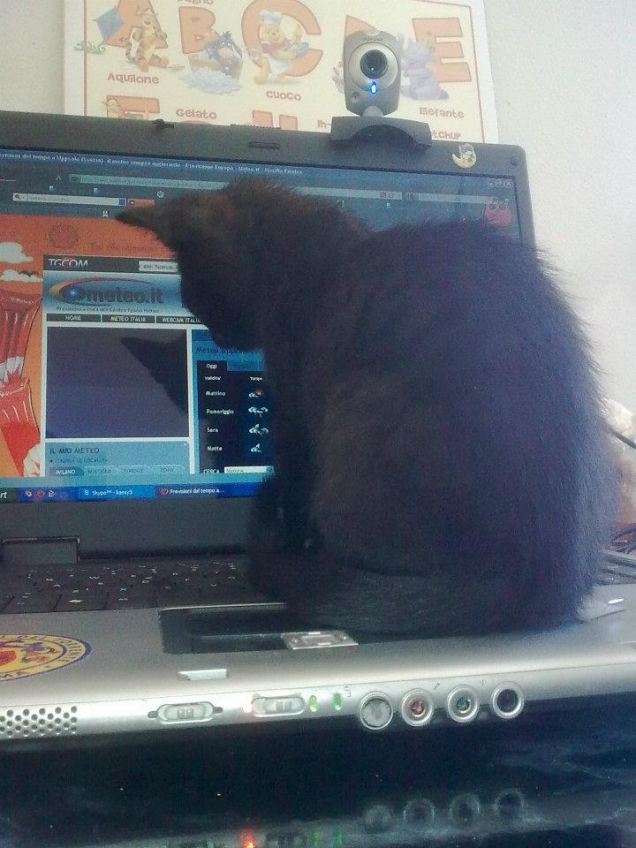 Sci...guardiamo...domani piove?