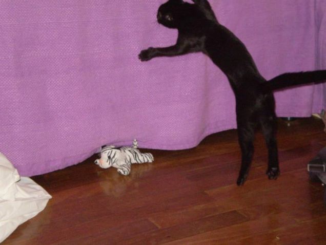 Attacco con slancio su Vik (povero pupazzo ignaro)