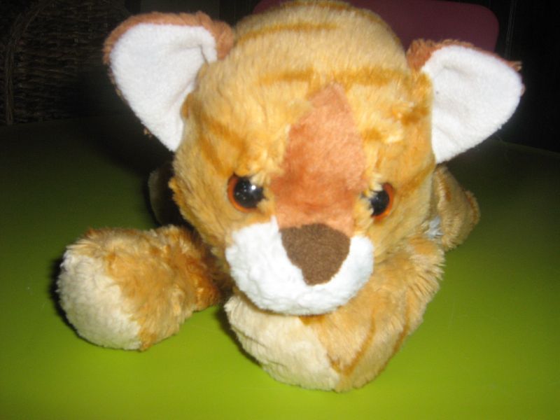 gattino in regalo