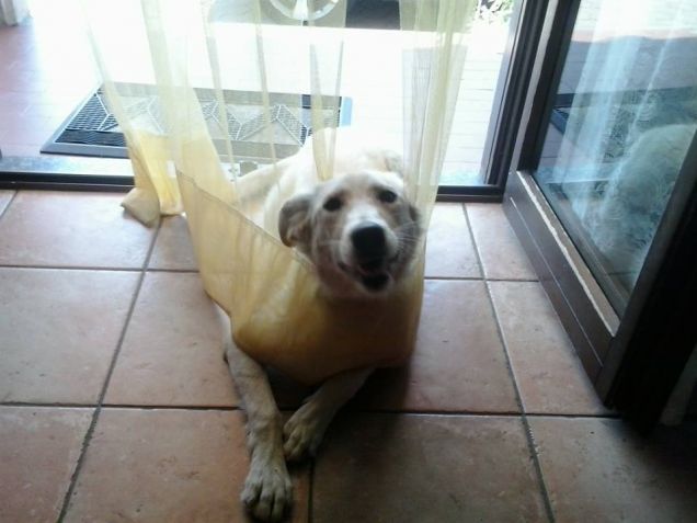 kia e la tenda parte2