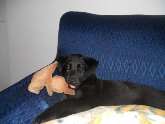 sul divano a giocare