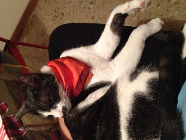 Aramis, maestro di eleganza