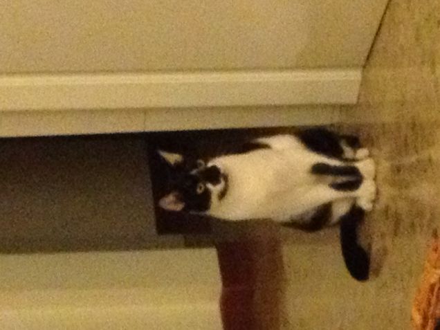 Portos al puntinismo 