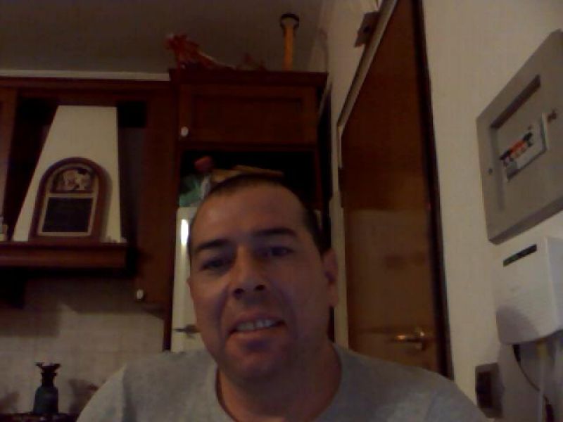 cucciolo toy o gattino cucciolo nero