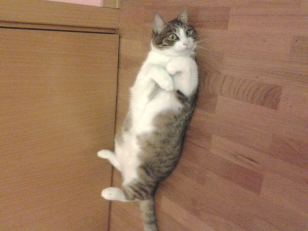 Al centro dell'attenzione!