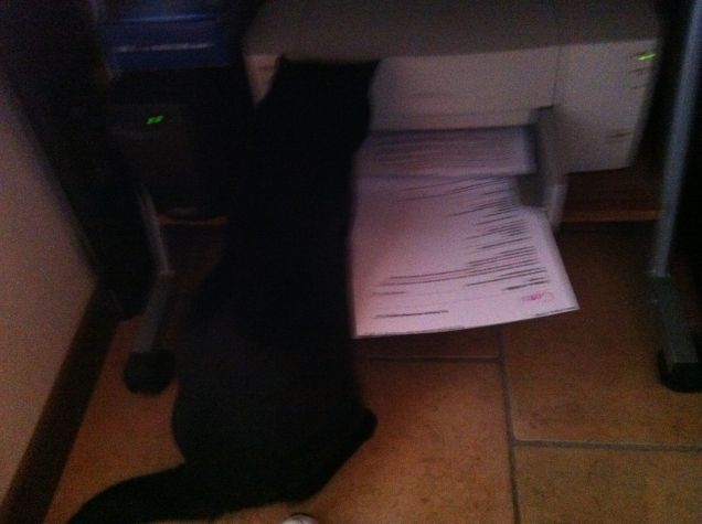 la micia delle stampanti