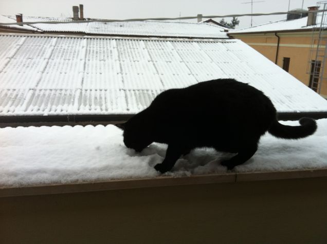 mmm buona la neve :)