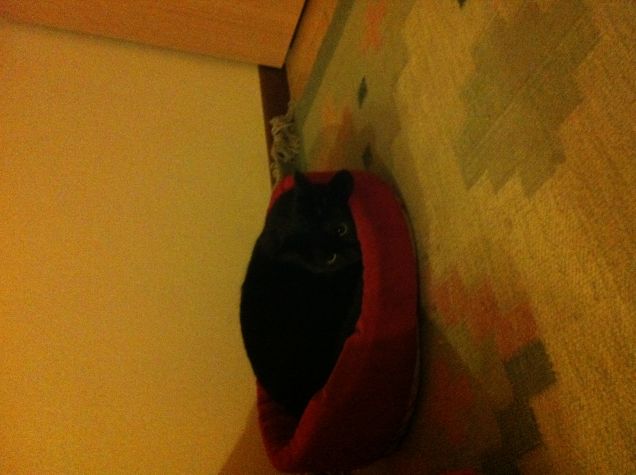 si dorme beatamente :)