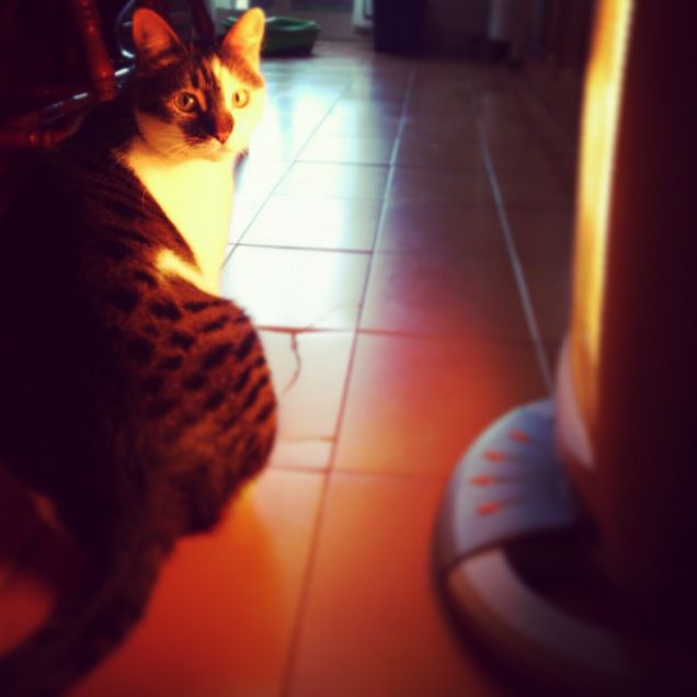 Riscaldiamoci un po'!