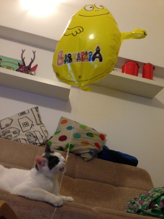 Nunzio è il suo palloncino