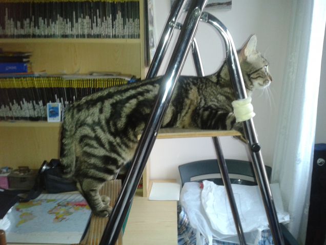 Torretta d'avvistamento