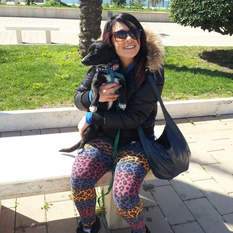 Cerco un cucciolo da adottare