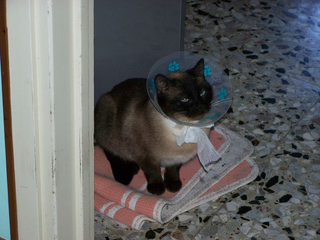 Dopo l'operazione...