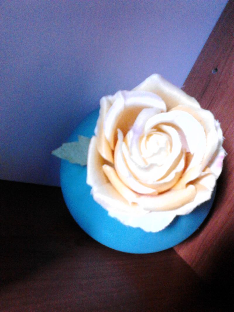 ADOTTO CANE TAGLIA PICCOLA