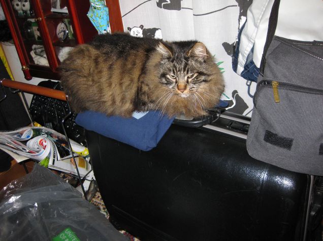 Mi porti in vacanza?!