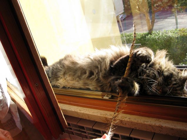 Blocco dello scrittore