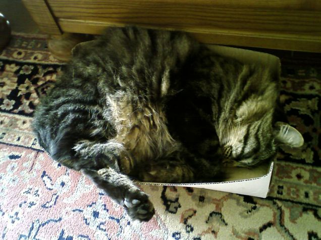 tempi di crisi, riduzione delle scatole...