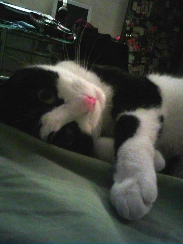 mi sono svegliata così