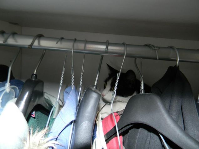 Nanà mi aiuta a scegliere i vestiti da mettere :)