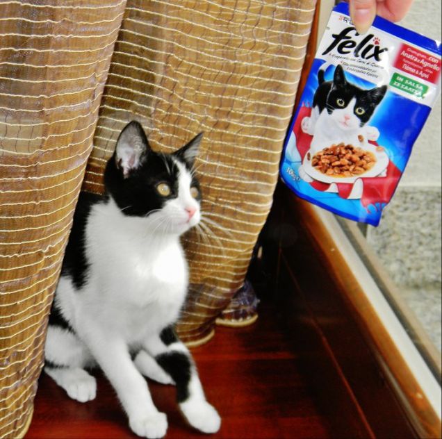 Spot the differences