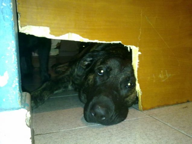 Noi ci siamo sempre..