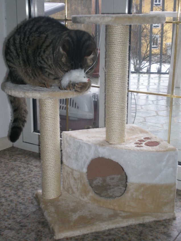 Rafael e il topolino dell'associazione Io dico mIaO