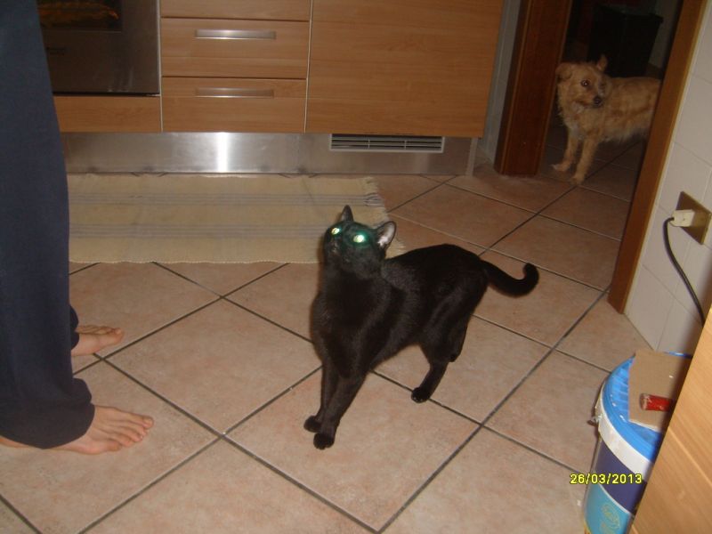 regalo a veri amanti