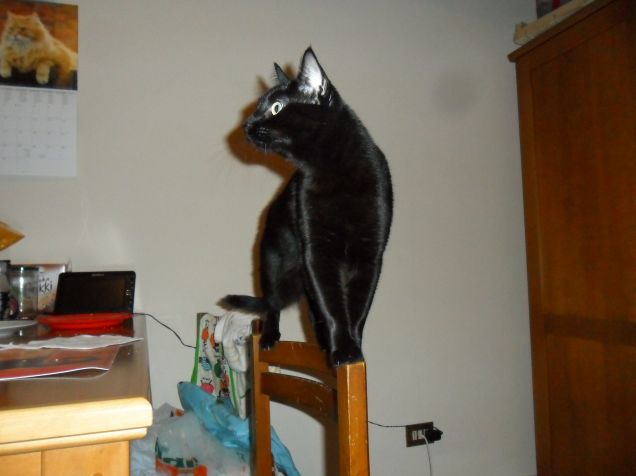 Perfetto equilibrio...