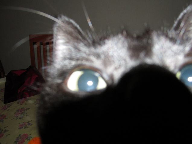 Otto e l'obiettivo...