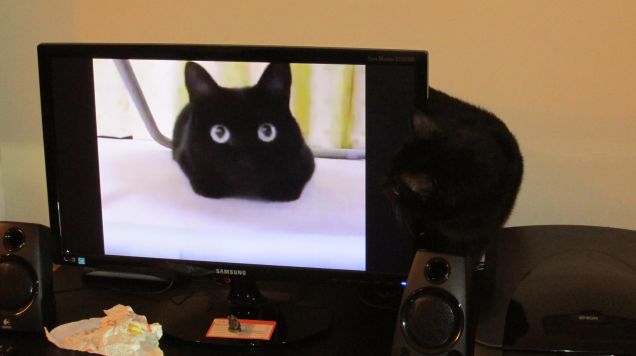 C'è qualcuno nel pc?