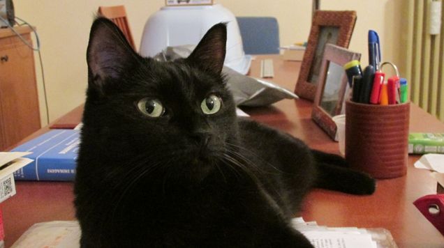 Sguardo magnetico...