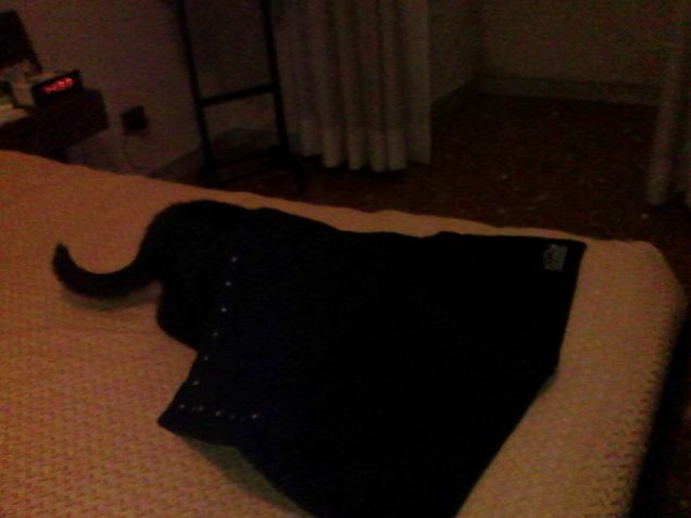 Regalo Purina Gourmet