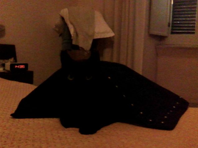 Omaggio Purina Gourmet