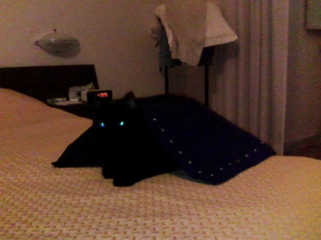 Omaggio Purina Gourmet