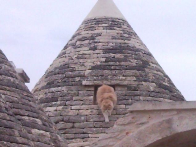 Honey,a spasso tra i Trulli