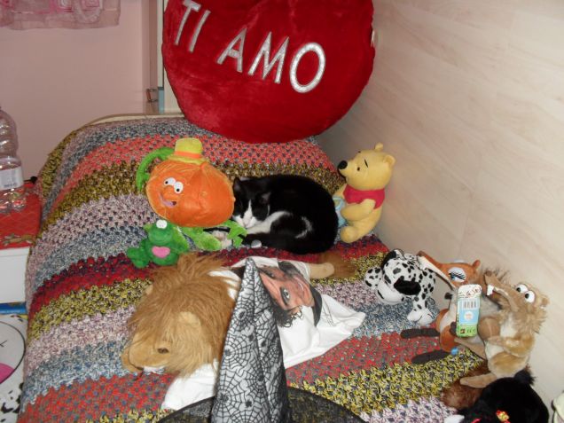 trova l'intruso......romeo