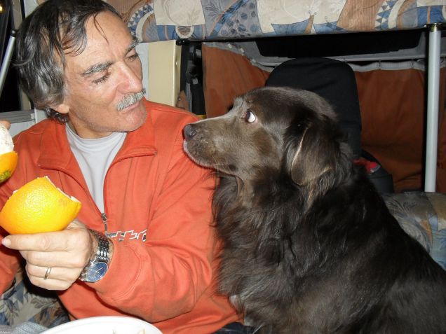 non mi piace l'arancio