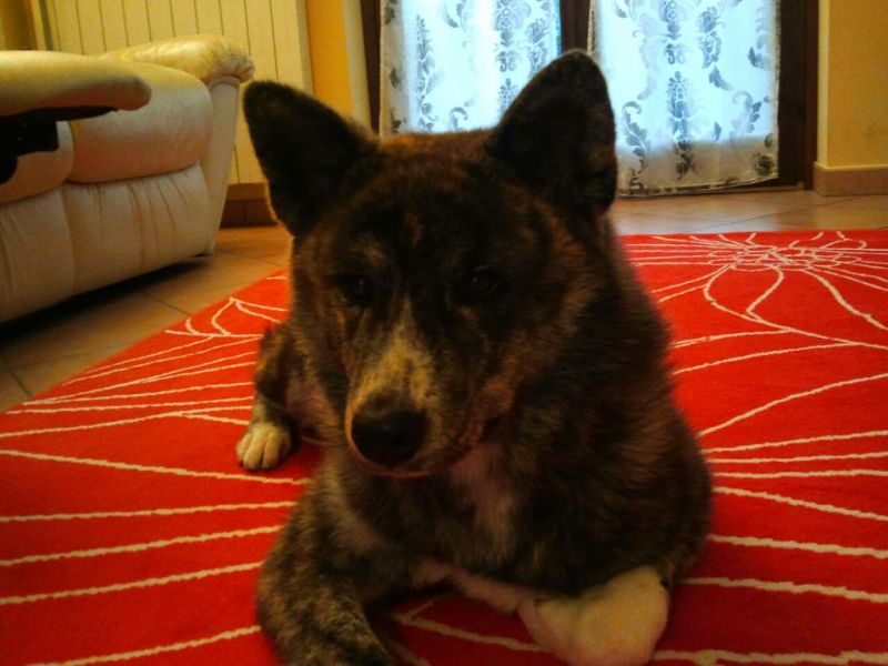 Per il mio piccolo Davide!