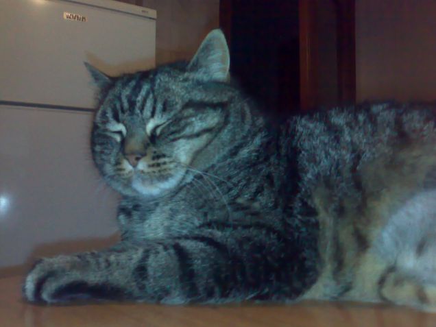 il mio graande amore...