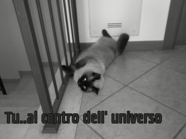 Sono il preferito di casa! 