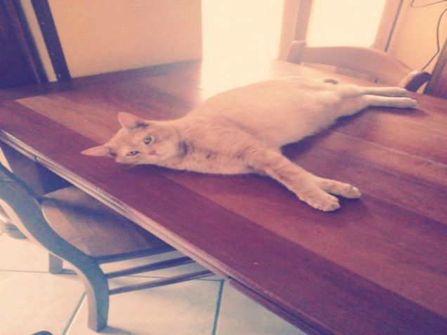 mi sono appropriato anche del tavolo.. questa è vita :)