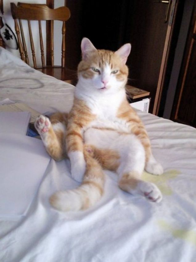 Romeo... relaxing time