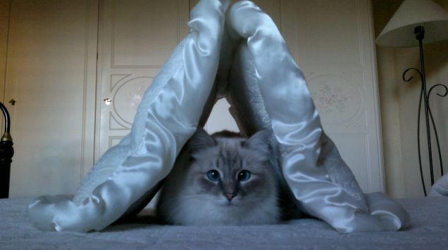 nella tana della mamma