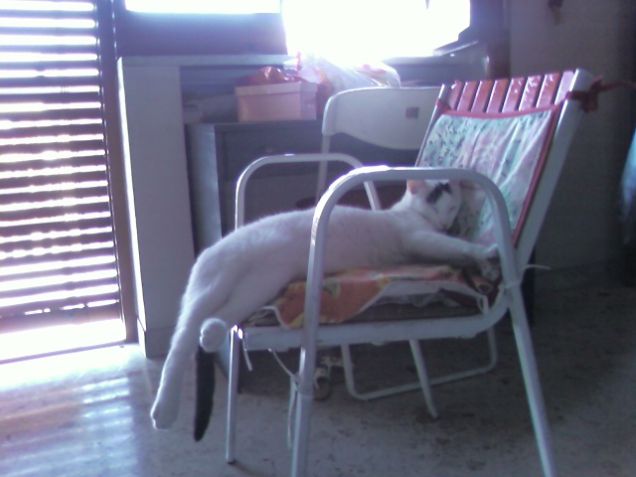 Ignazioooo,come sono stancoooo