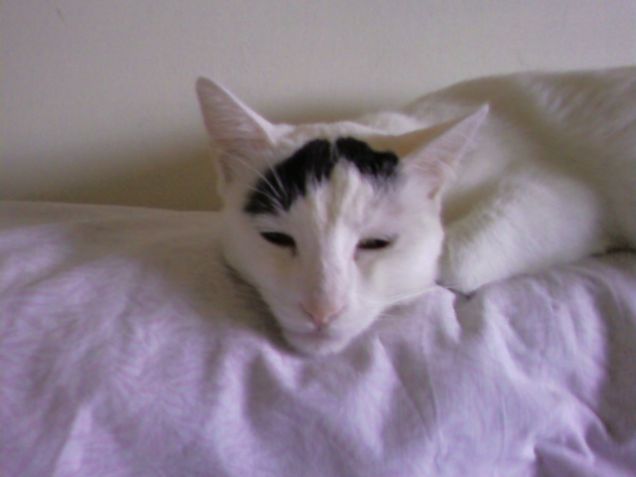 Ignazioooo,come sono stancoooo3