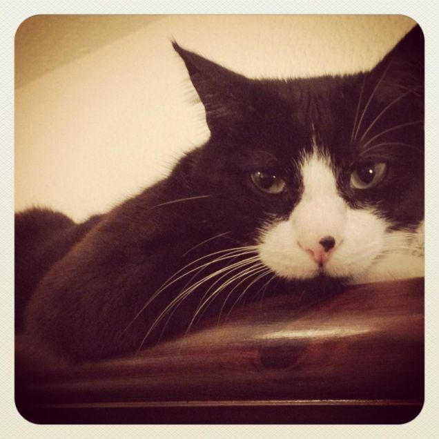 ti osservo sempre...